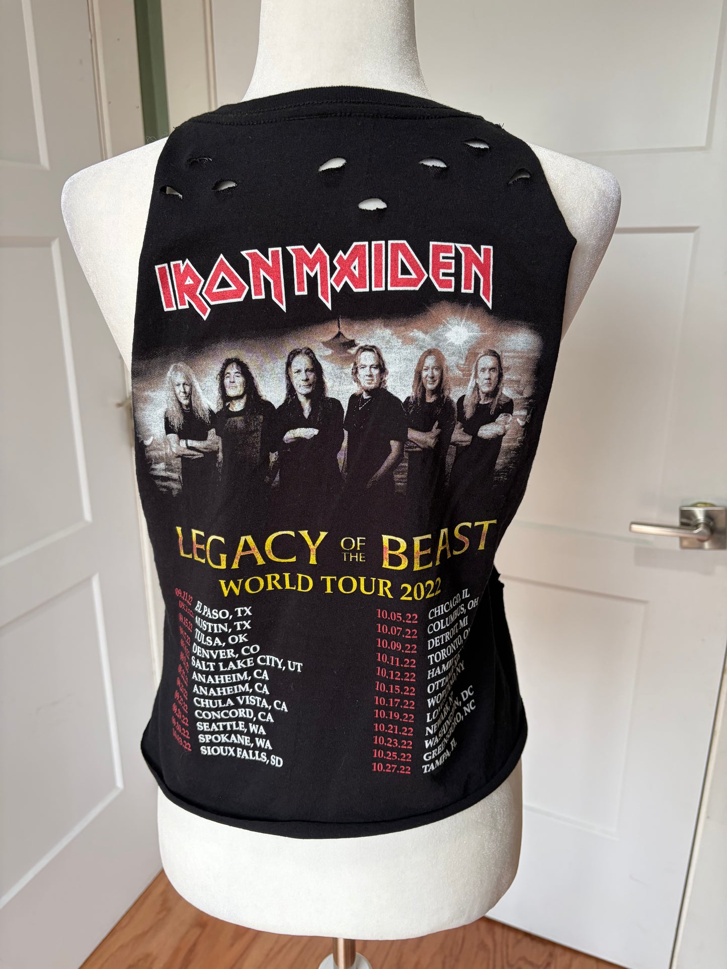 Iron Maiden Distressed Cropped Tank